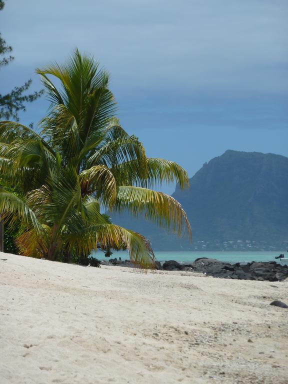 Belle Crique D3 Ile Maurice